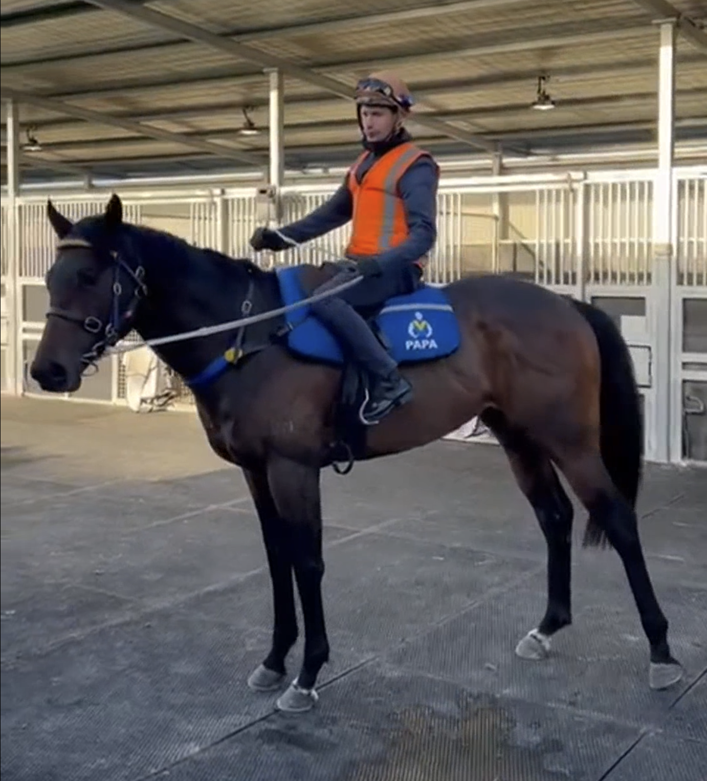 Read more about the article Table Twentyeight commencing fast work